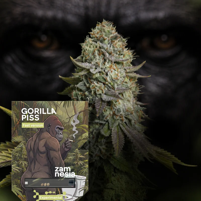 Gorilla Piss Fast Version van Zamnesia Seeds