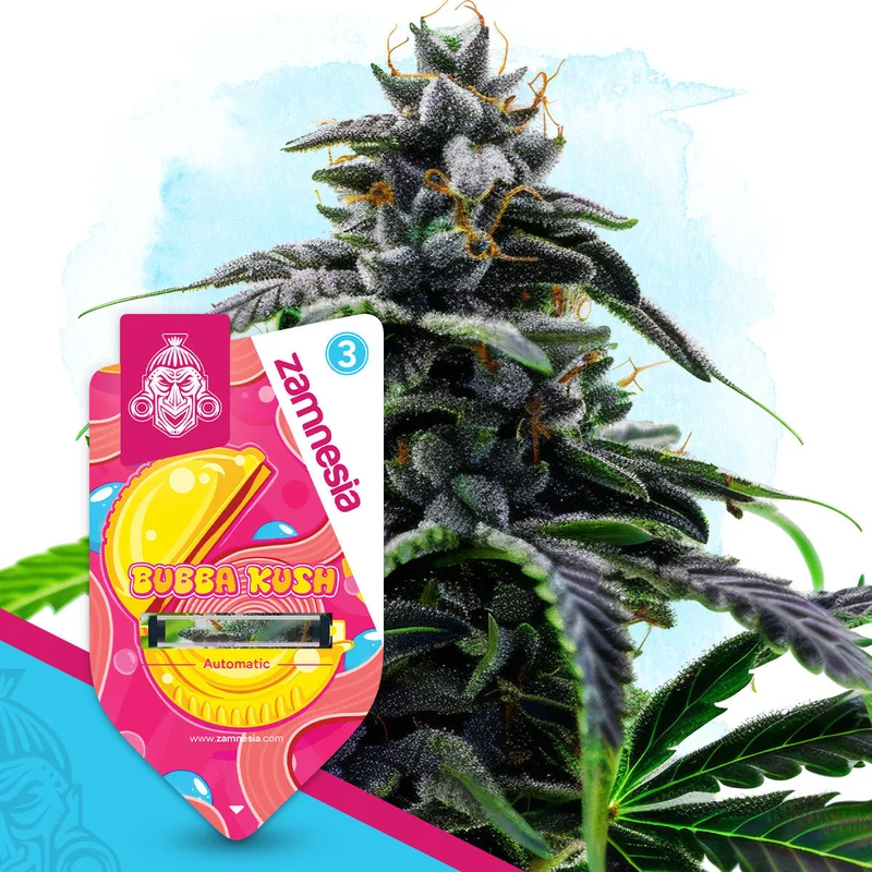 Bubba Kush van Zamnesia Seeds