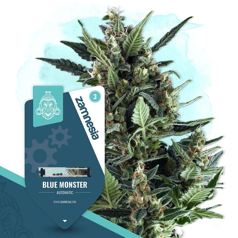 Blue Monster van Zamnesia Seeds