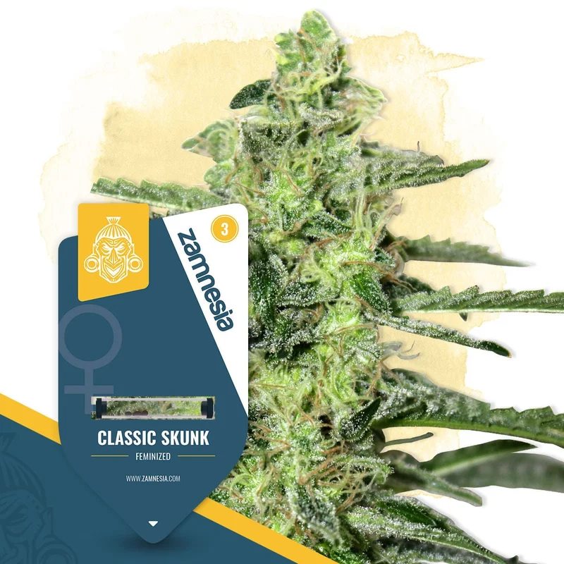 Classic Skunk van Zamnesia Seeds