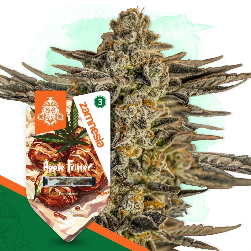 Apple Fritter van Zamnesia Seeds