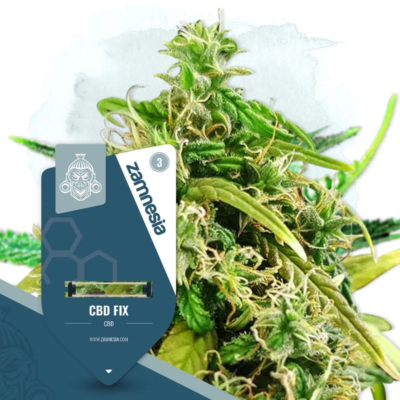 CBD Fix van Zamnesia Seeds