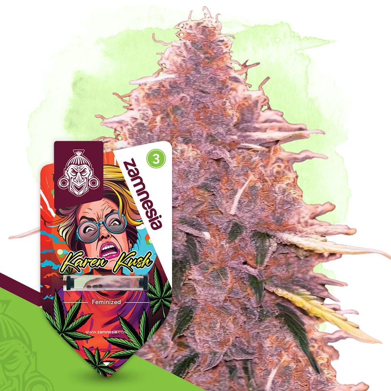 Karen Kush van Zamnesia Seeds
