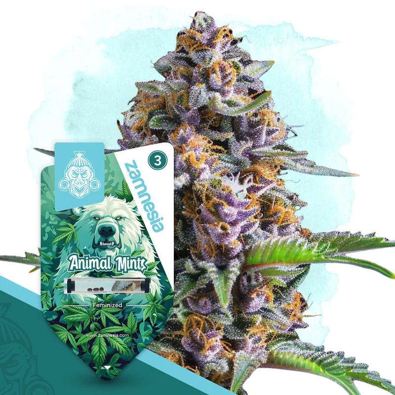 Animal Mints van Zamnesia Seeds