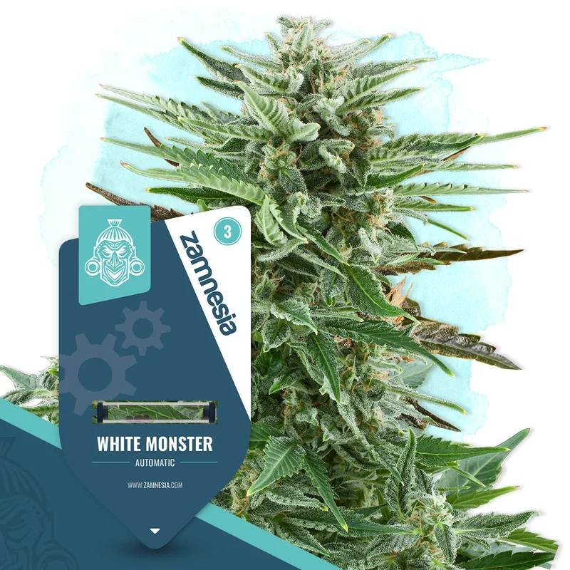 White Monster van Zamnesia Seeds
