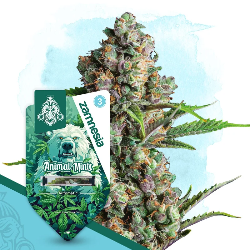 Animal Mints van Zamnesia Seeds