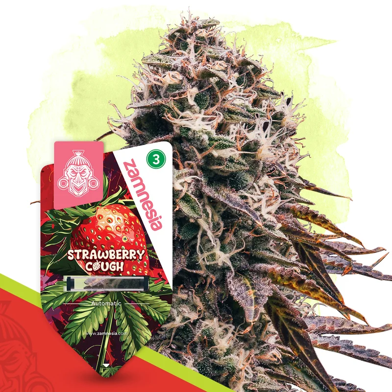 Strawberry Cough van Zamnesia Seeds