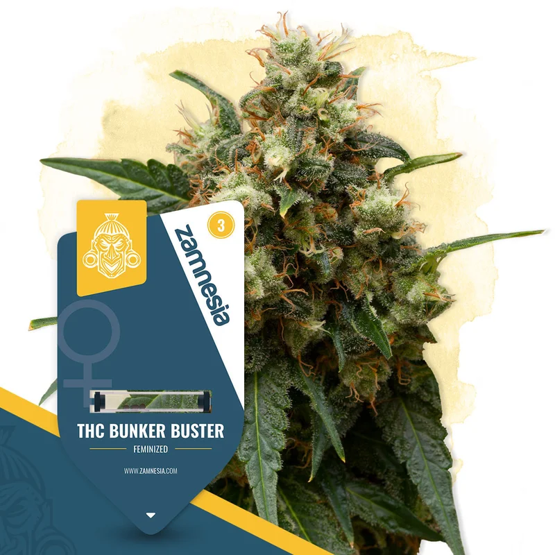 THC Bunker Buster van Zamnesia Seeds