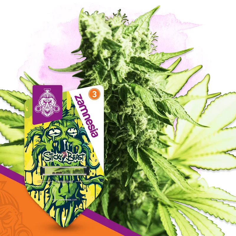 Sticky Beast van Zamnesia Seeds