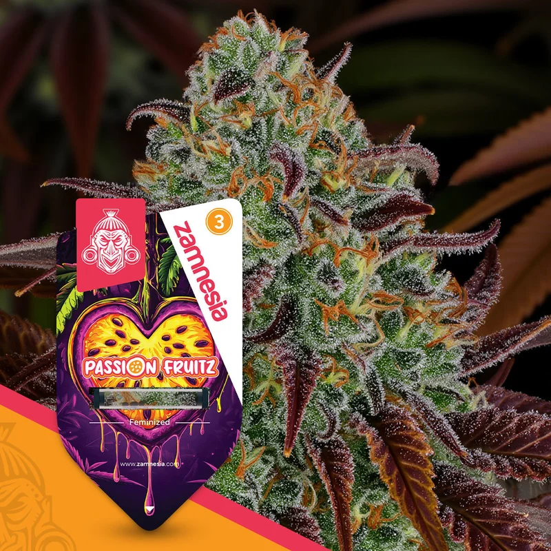 Passion Fruitz van Zamnesia Seeds
