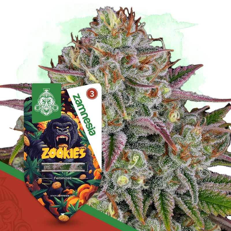 Zookies van Zamnesia Seeds