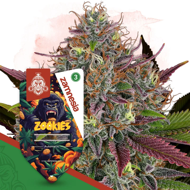Zookies van Zamnesia Seeds