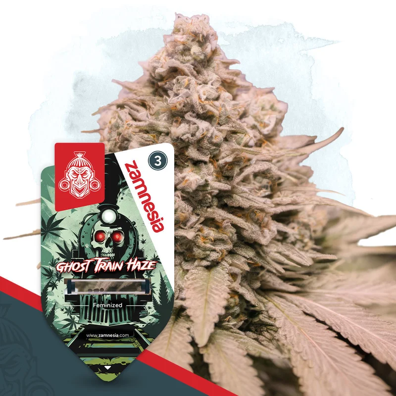 Ghost Train Haze van Zamnesia Seeds