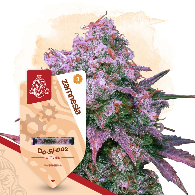Do-Si-Dos van Zamnesia Seeds