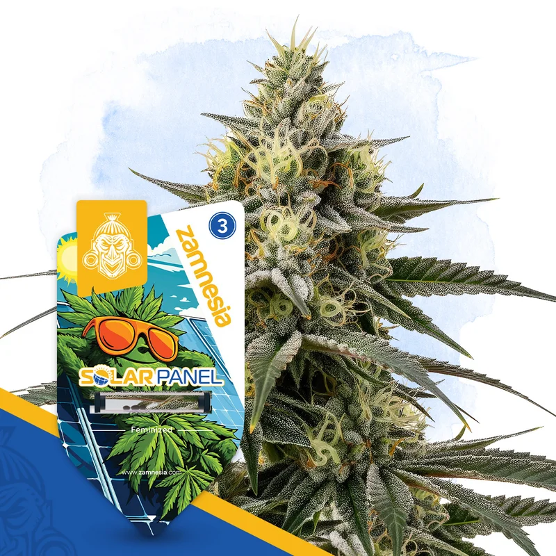 Solar Panel van Zamnesia Seeds
