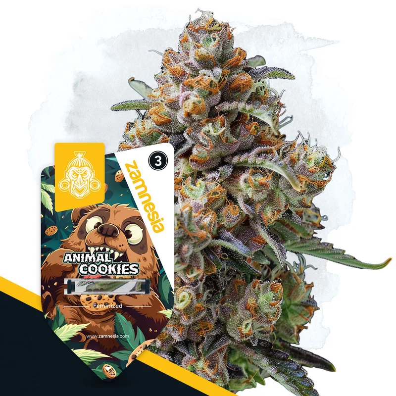 Animal Cookies van Zamnesia Seeds