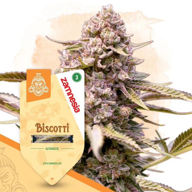 Biscotti van Zamnesia Seeds