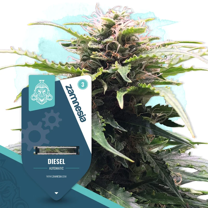 Diesel van Zamnesia Seeds