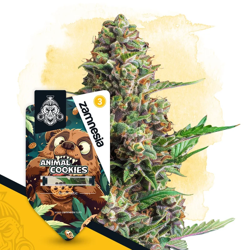 Animal Cookies van Zamnesia Seeds