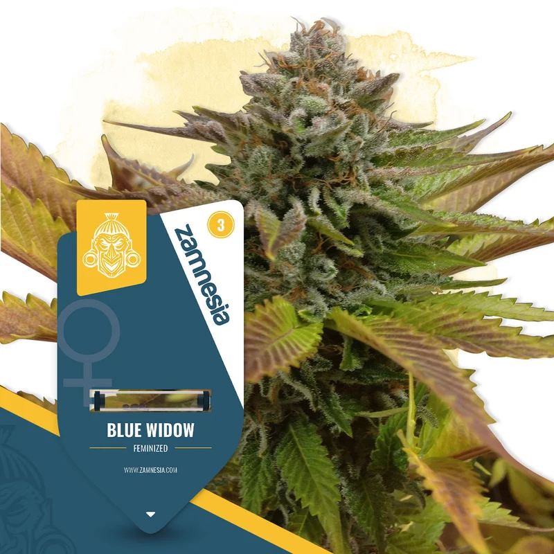 Blue Widow van Zamnesia Seeds