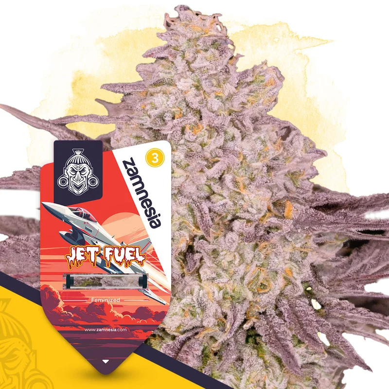 Jet Fuel van Zamnesia Seeds
