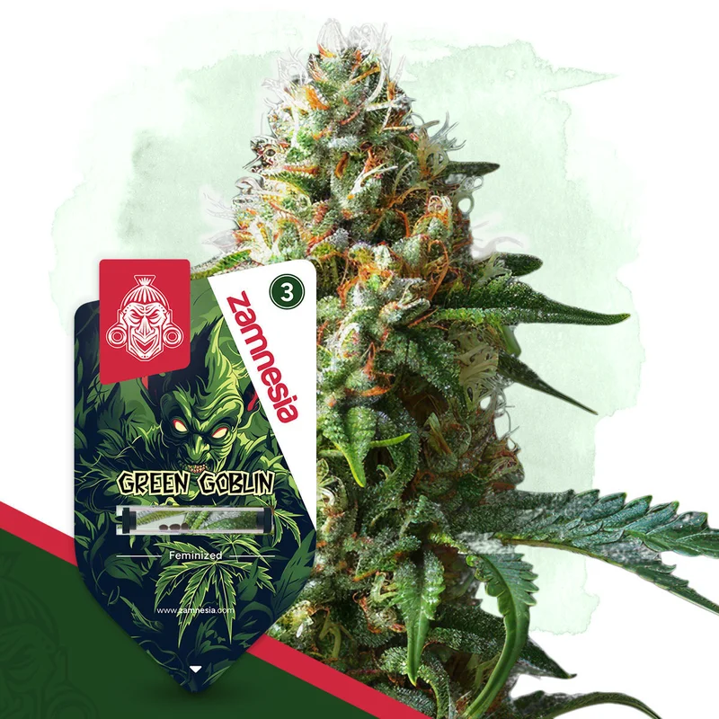 Green Goblin van Zamnesia Seeds