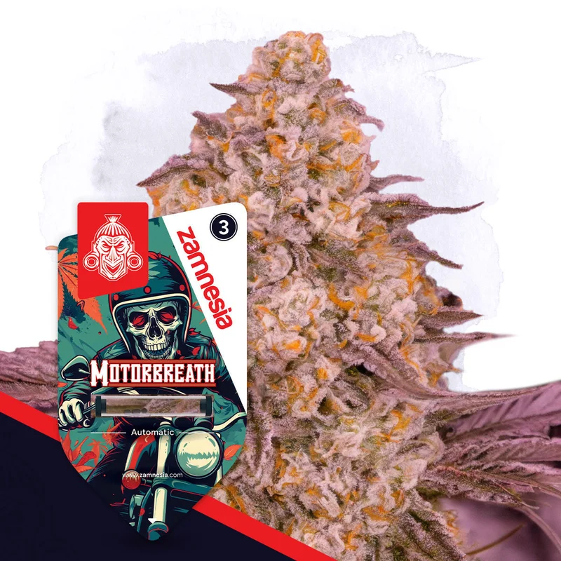 Motorbreath van Zamnesia Seeds