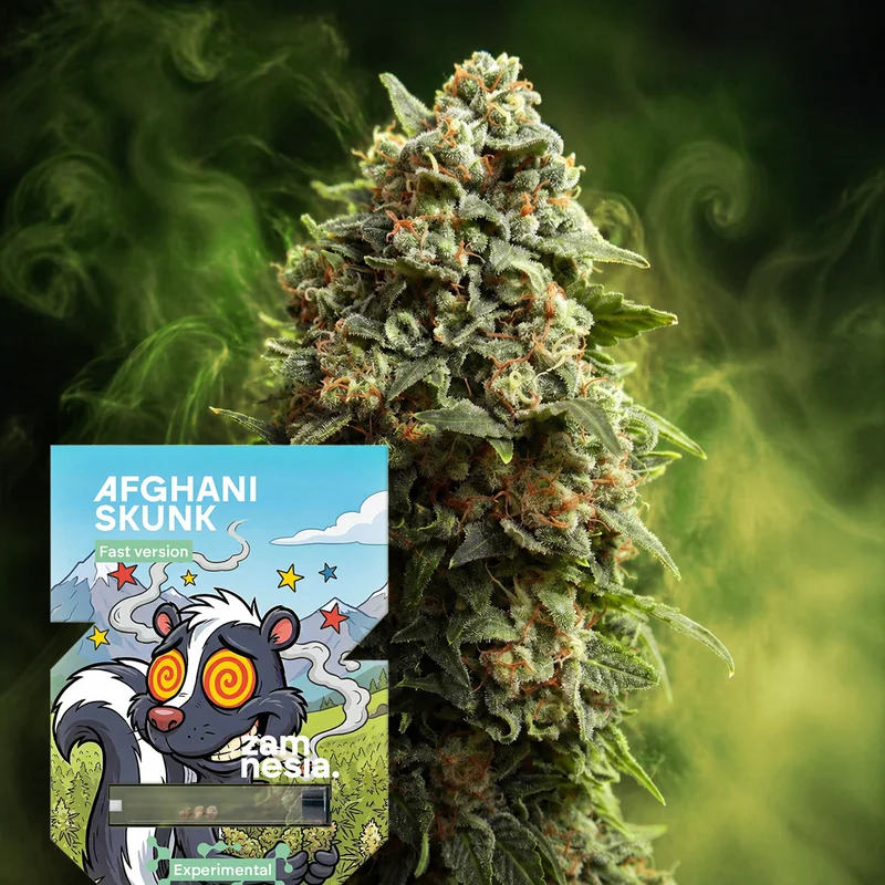 Afghani Skunk Fast Version van Zamnesia Seeds