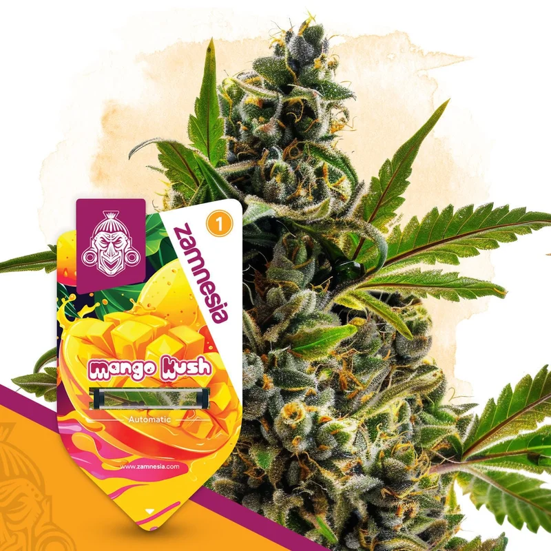 Mango Kush (Sementes Zamnesia) van Zamnesia Seeds