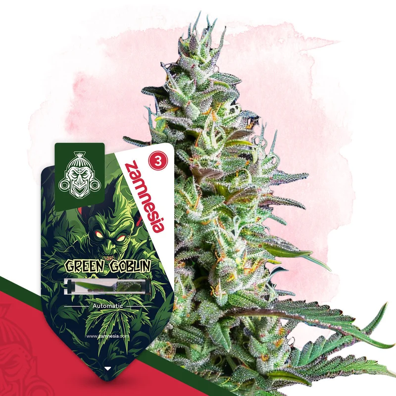 Green Goblin van Zamnesia Seeds