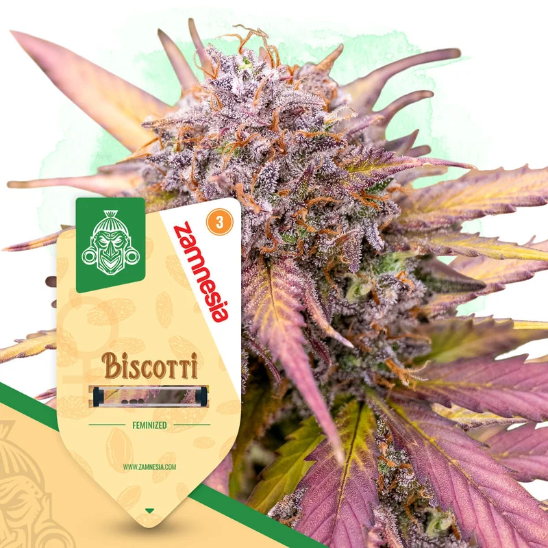 Biscotti van Zamnesia Seeds