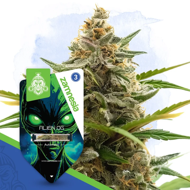 Alien OG van Zamnesia Seeds