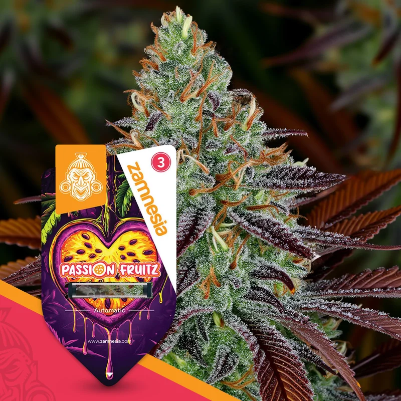 Passion Fruitz van Zamnesia Seeds