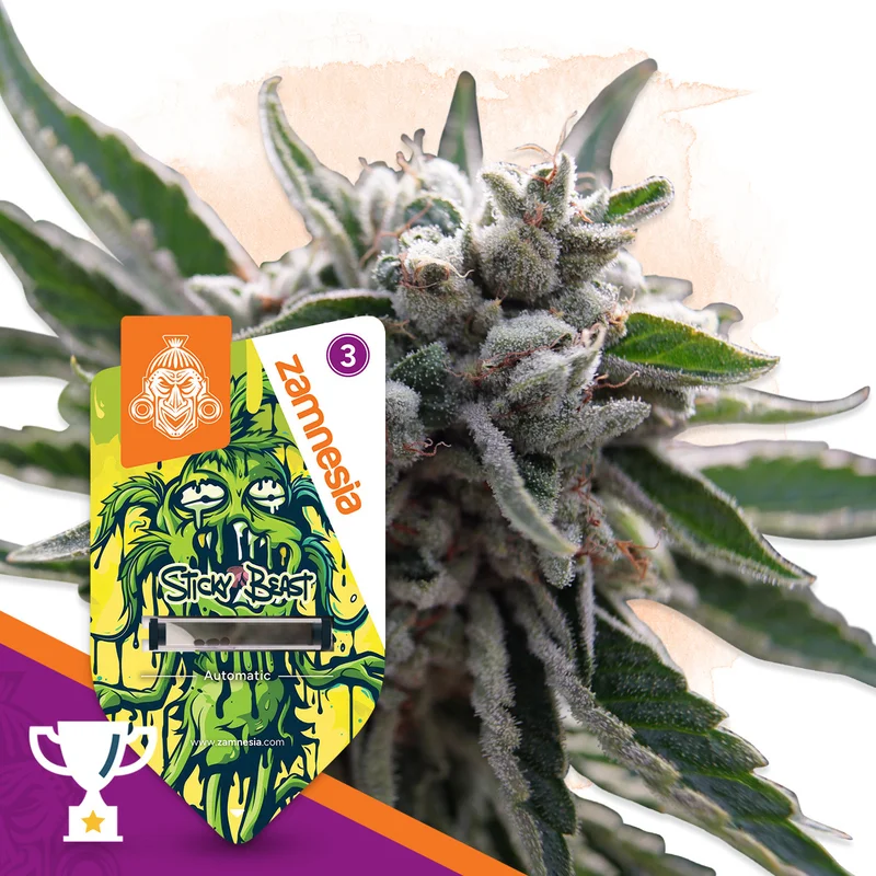 Sticky Beast van Zamnesia Seeds