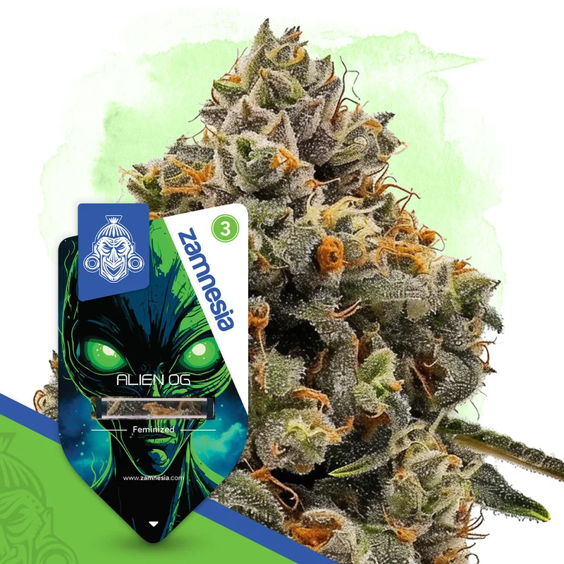 Alien OG van Zamnesia Seeds