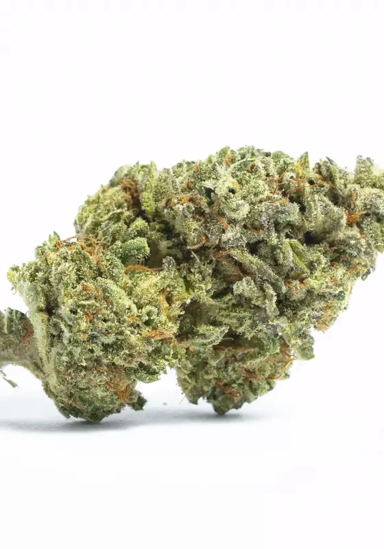 Voodoo Child van Ziplock Seeds