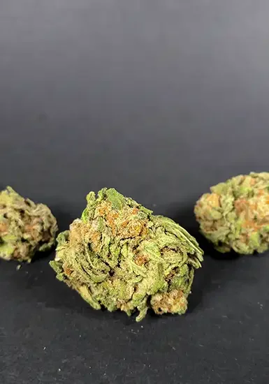 Queen Bee van Ziplock Seeds